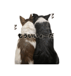 癒し系チワワ｀S（個別スタンプ：6）