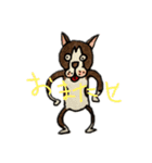 Bostonterrier in summer（個別スタンプ：10）