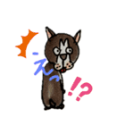 Bostonterrier in summer（個別スタンプ：20）