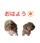 うえはら家のペットたち（個別スタンプ：1）