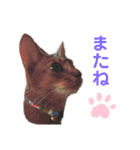 うえはら家のペットたち（個別スタンプ：3）