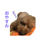 うえはら家のペットたち（個別スタンプ：4）