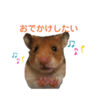 うえはら家のペットたち（個別スタンプ：7）