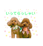 うえはら家のペットたち（個別スタンプ：10）