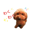 うえはら家のペットたち（個別スタンプ：11）