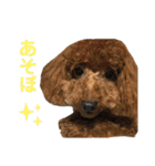 うえはら家のペットたち（個別スタンプ：16）