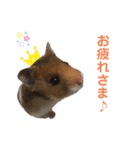 うえはら家のペットたち（個別スタンプ：18）