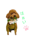 うえはら家のペットたち（個別スタンプ：19）