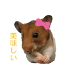 うえはら家のペットたち（個別スタンプ：25）