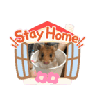 うえはら家のペットたち（個別スタンプ：36）