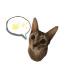 うえはら家のペットたち（個別スタンプ：39）
