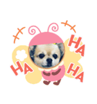 Churichan（個別スタンプ：14）