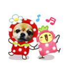 Churichan（個別スタンプ：15）