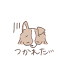 ボーダーコリーの文字入りゆるスタンプ➂（個別スタンプ：2）