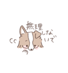 ボーダーコリーの文字入りゆるスタンプ➂（個別スタンプ：3）