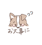 ボーダーコリーの文字入りゆるスタンプ➂（個別スタンプ：4）