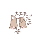 ボーダーコリーの文字入りゆるスタンプ➂（個別スタンプ：5）