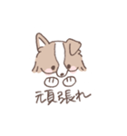 ボーダーコリーの文字入りゆるスタンプ➂（個別スタンプ：7）