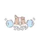 ボーダーコリーの文字入りゆるスタンプ➂（個別スタンプ：9）
