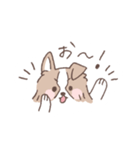 ボーダーコリーの文字入りゆるスタンプ➂（個別スタンプ：11）