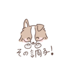 ボーダーコリーの文字入りゆるスタンプ➂（個別スタンプ：12）