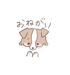 ボーダーコリーの文字入りゆるスタンプ➂（個別スタンプ：13）