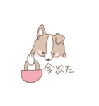 ボーダーコリーの文字入りゆるスタンプ➂（個別スタンプ：15）