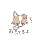 ボーダーコリーの文字入りゆるスタンプ➂（個別スタンプ：18）