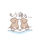 ボーダーコリーの文字入りゆるスタンプ➂（個別スタンプ：19）