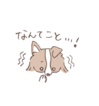 ボーダーコリーの文字入りゆるスタンプ➂（個別スタンプ：22）