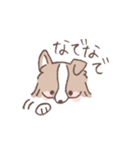 ボーダーコリーの文字入りゆるスタンプ➂（個別スタンプ：23）