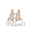 ボーダーコリーの文字入りゆるスタンプ➂（個別スタンプ：25）
