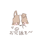 ボーダーコリーの文字入りゆるスタンプ➂（個別スタンプ：26）