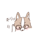ボーダーコリーの文字入りゆるスタンプ➂（個別スタンプ：29）