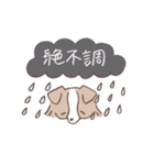 ボーダーコリーの文字入りゆるスタンプ➂（個別スタンプ：31）