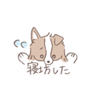 ボーダーコリーの文字入りゆるスタンプ➂（個別スタンプ：34）