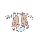 ボーダーコリーの文字入りゆるスタンプ➂（個別スタンプ：39）