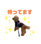 内弁慶ノアくん（個別スタンプ：3）