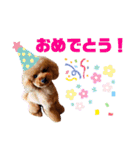 内弁慶ノアくん（個別スタンプ：4）