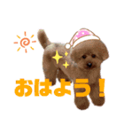 内弁慶ノアくん（個別スタンプ：7）