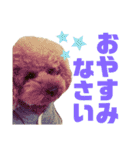 内弁慶ノアくん（個別スタンプ：8）