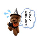 内弁慶ノアくん（個別スタンプ：12）