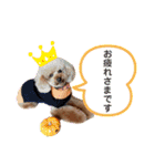 内弁慶ノアくん（個別スタンプ：13）