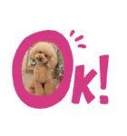 内弁慶ノアくん（個別スタンプ：14）