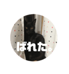 保護猫(犬)（個別スタンプ：9）