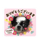 ずんだスタンプ①（個別スタンプ：5）