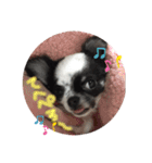 ずんだスタンプ①（個別スタンプ：16）