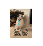 可愛い桃ちゃんスタンプ❤️❤️（個別スタンプ：14）
