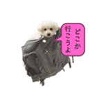 日常会話 お茶やランチにお誘いしちゃう（個別スタンプ：4）