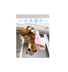 日常会話 お茶やランチにお誘いしちゃう（個別スタンプ：13）